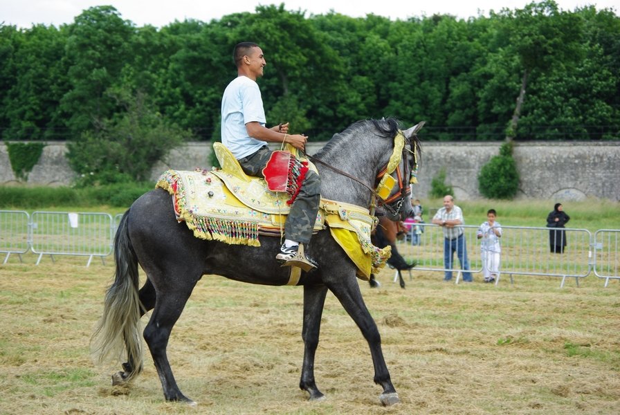Le Moussem des Cultures 2008 069.jpg